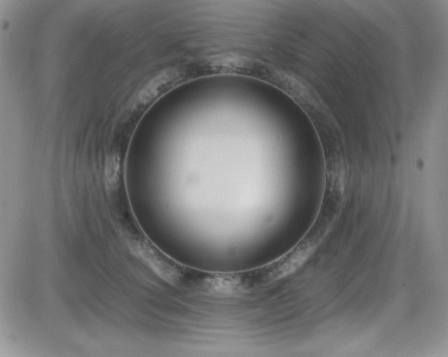 X0000082700660200701261247