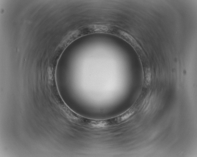 X0000082700667200701261247