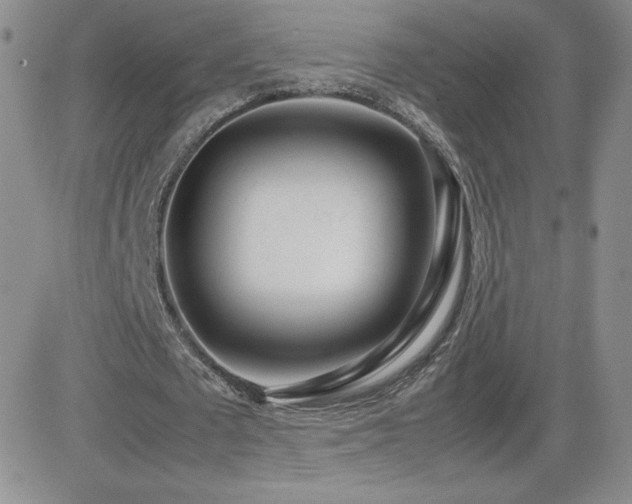 X0000082700673200701261246