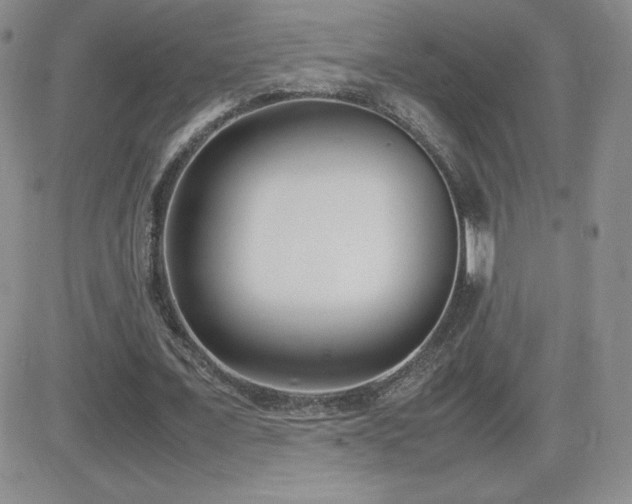X0000082700675200701261246