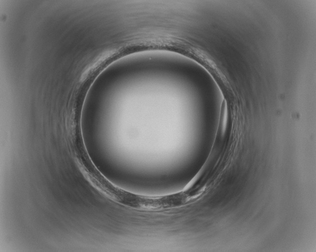 X0000082700677200701261246