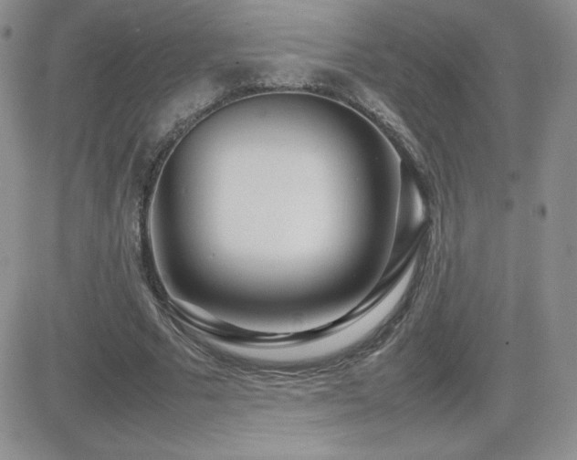 X0000082700681200701261246