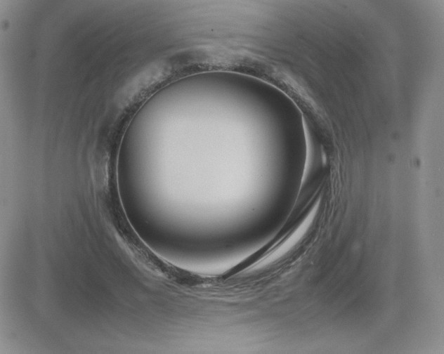X0000082700685200701261246