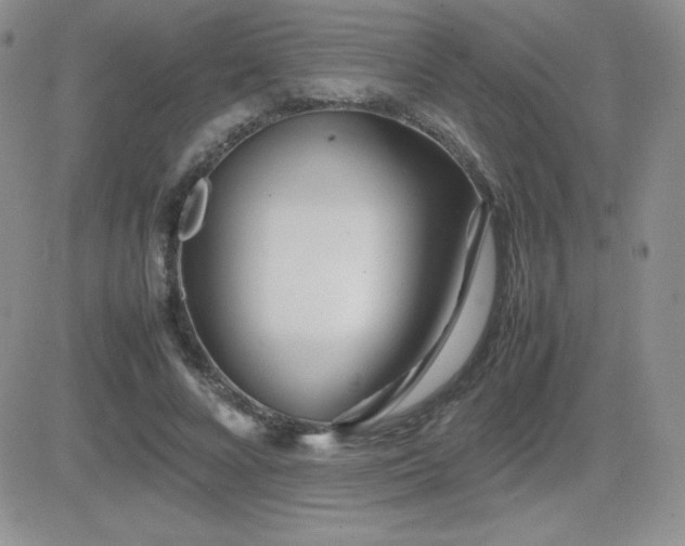 X0000082700688200701261246