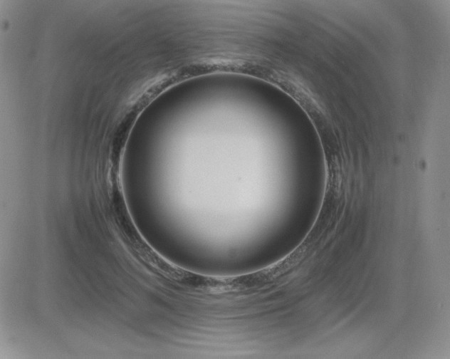 X0000082700692200701261246
