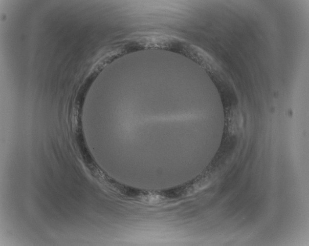 X0000082700695200701261246