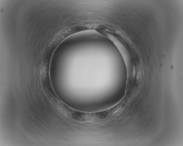 X0000082700697200701261246
