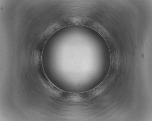 X0000082700702200701261246