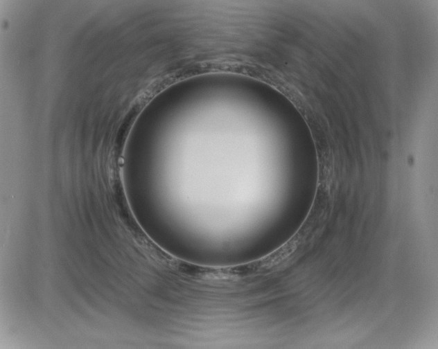 X0000082700708200701261246