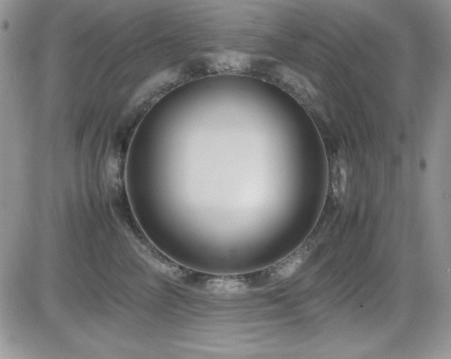 X0000082700714200701261246
