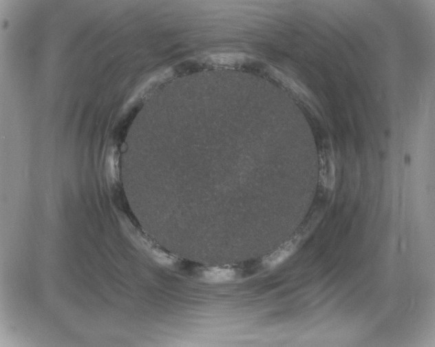X0000082700718200701261245
