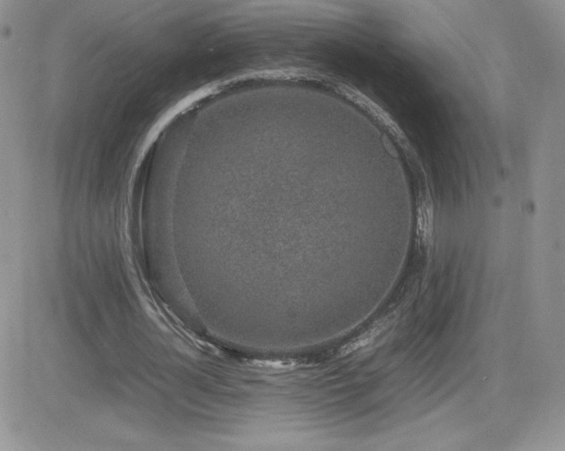 X0000082700724200701261245