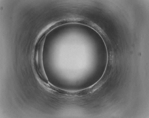 X0000082700726200701261245