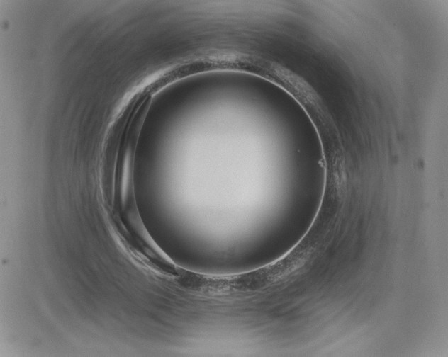 X0000082700728200701261245