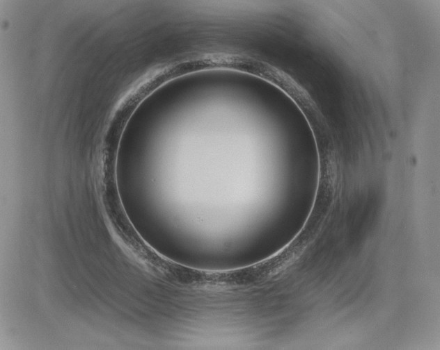 X0000082700730200701261245