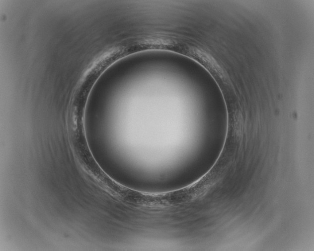 X0000082700731200701261245
