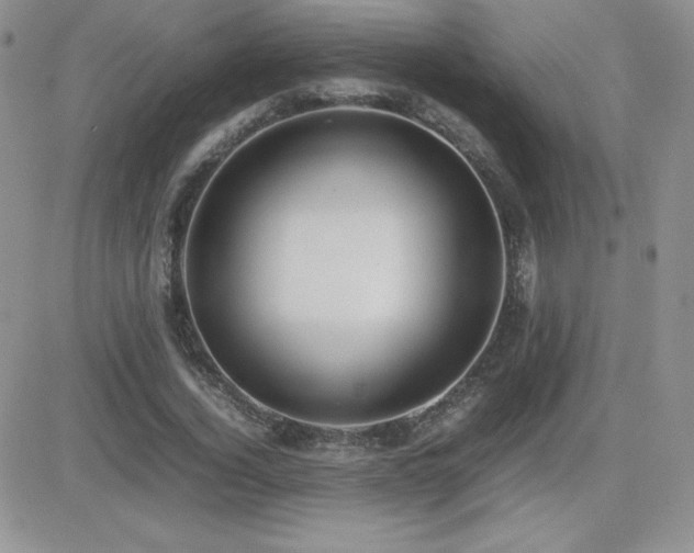 X0000082700732200701261245