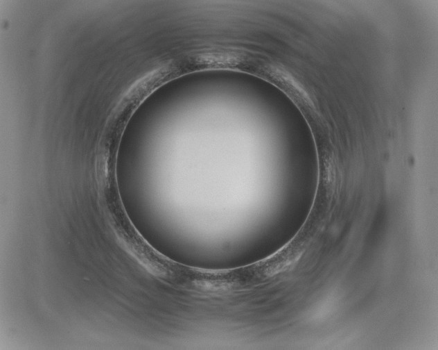 X0000082700733200701261245