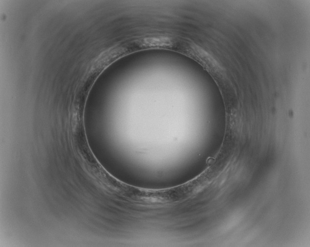 X0000082700741200701261245