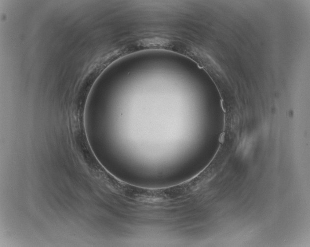 X0000082700743200701261245