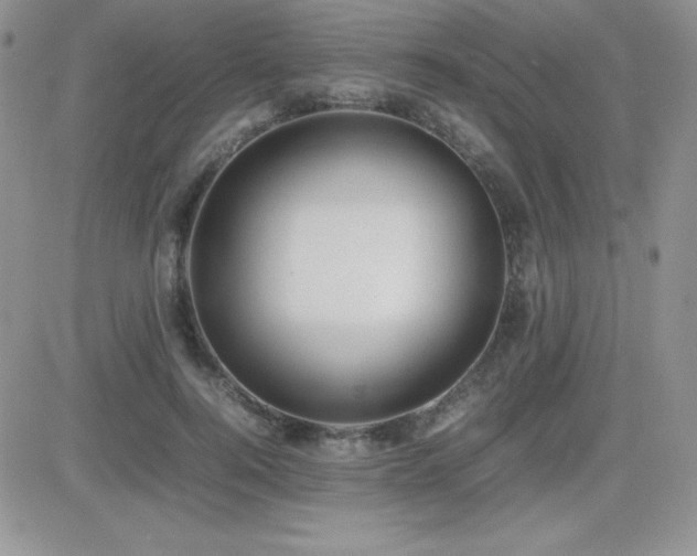 X0000082700744200701261245