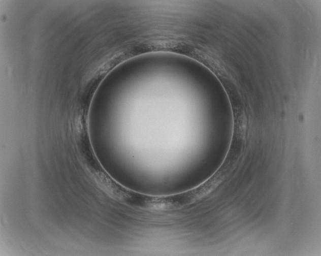 X0000082700746200701261245