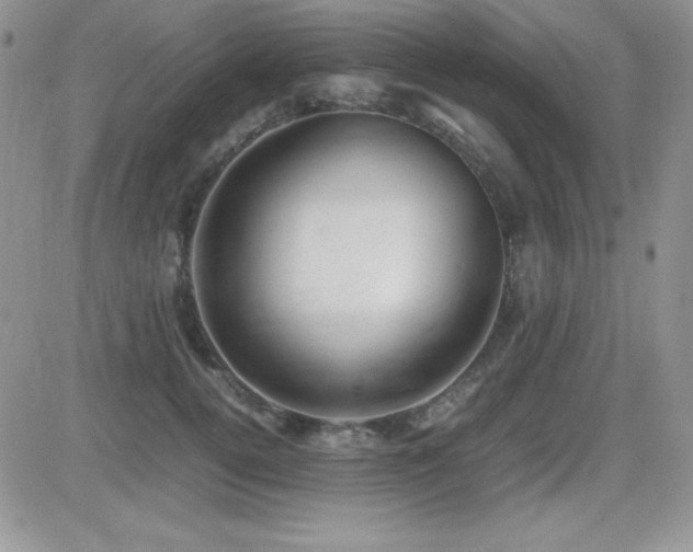 X0000082700752200701261245