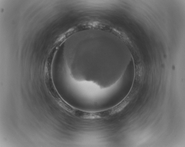X0000082700754200701261245