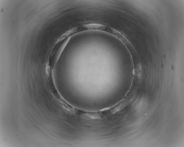 X0000082700763200701261245