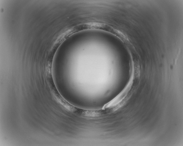 X0000082700766200701261245