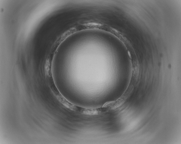 X0000082700767200701261245