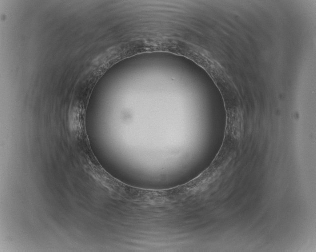 X0000082700770200701261245
