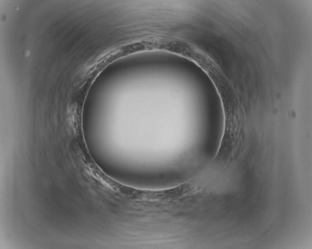 X0000082700773200701261245