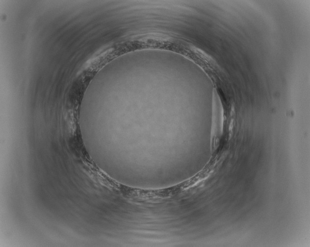 X0000082700774200701261245