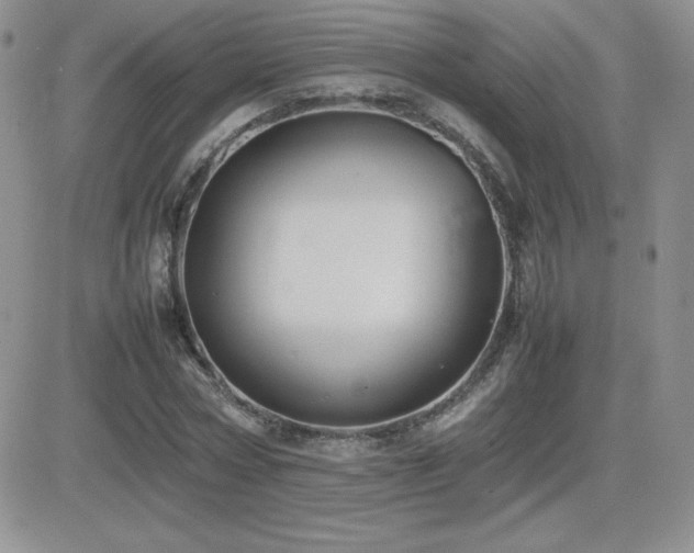 X0000082700778200701261245