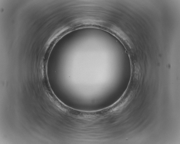 X0000082700782200701261244