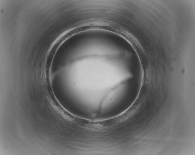 X0000082700784200701261244
