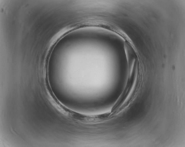 X0000082700795200701261244