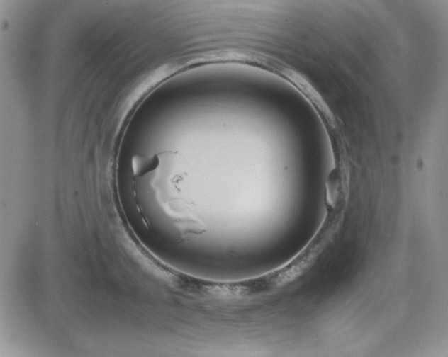 X0000082700805200701261244