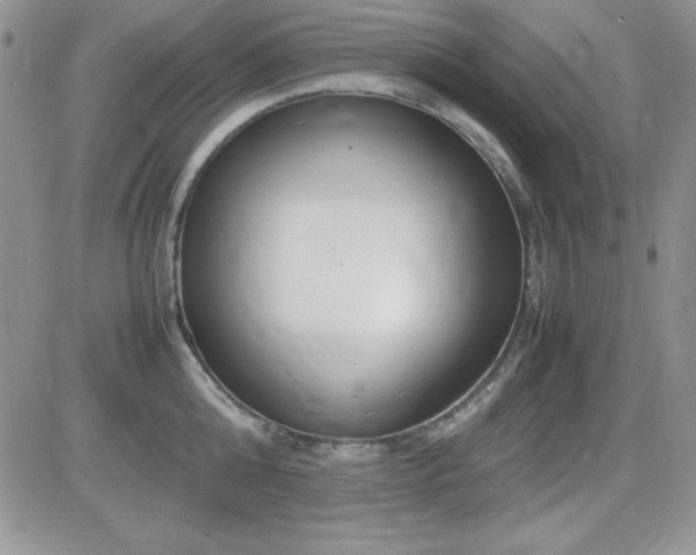 X0000082700808200701261244
