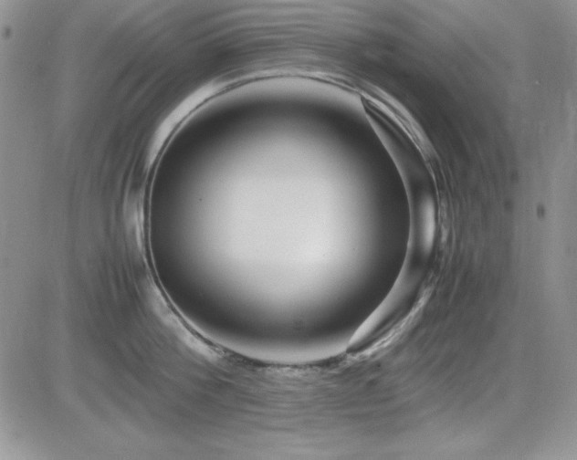 X0000082700812200701261244