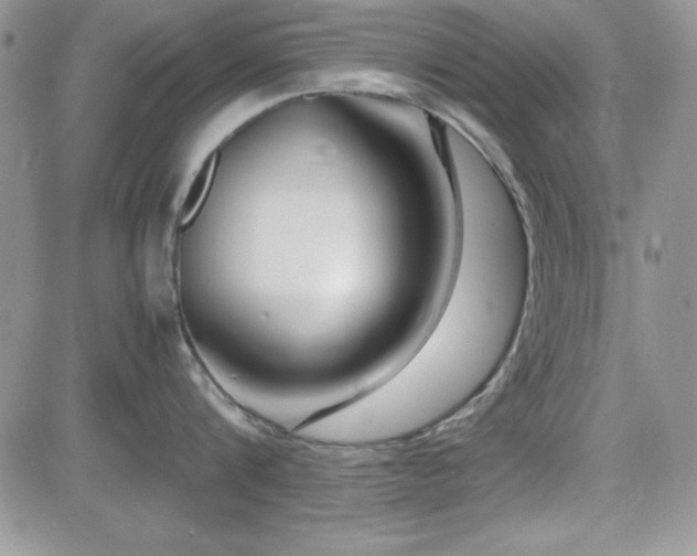 X0000082700816200701261244