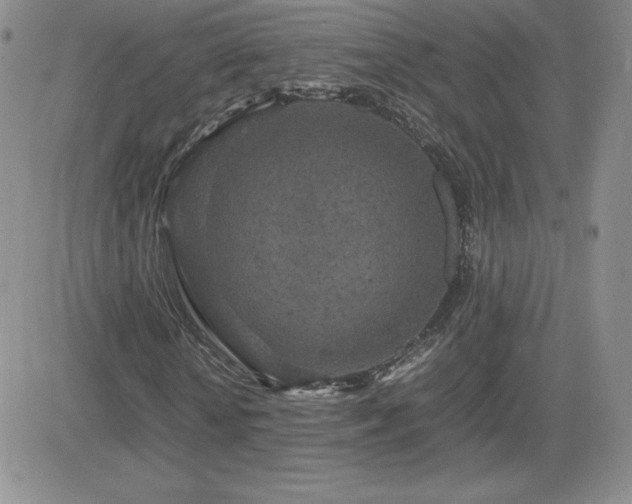 X0000082700818200701261243