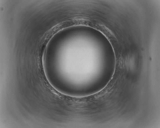 X0000082700821200701261243
