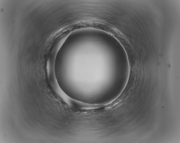 X0000082700822200701261243