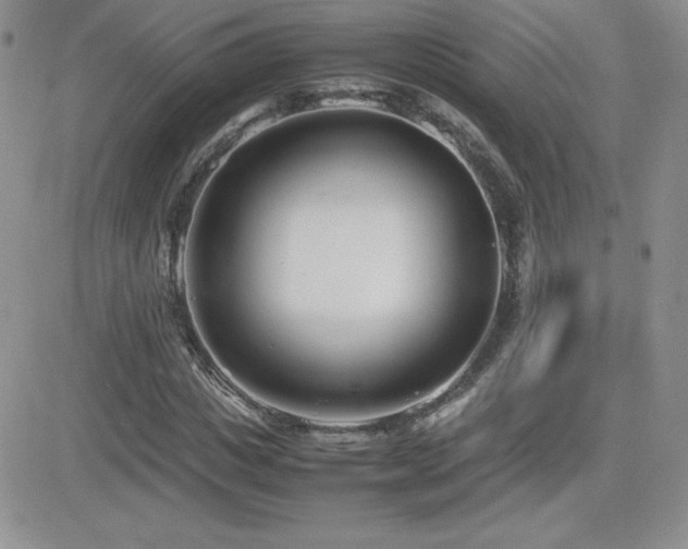 X0000082700825200701261243