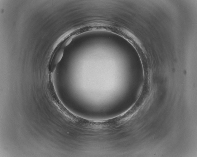 X0000082700829200701261243