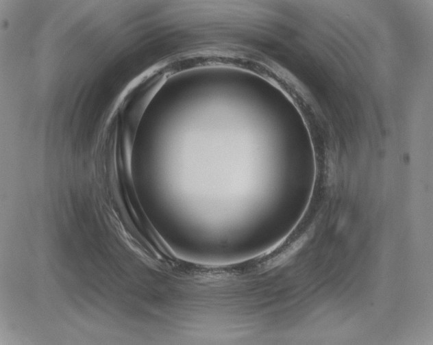 X0000082700830200701261243