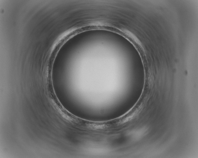X0000082700831200701261243