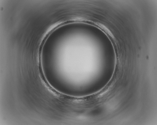 X0000082700839200701261243
